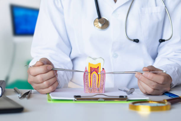 Best Emergency Denture Repair in Lynchburg, OH